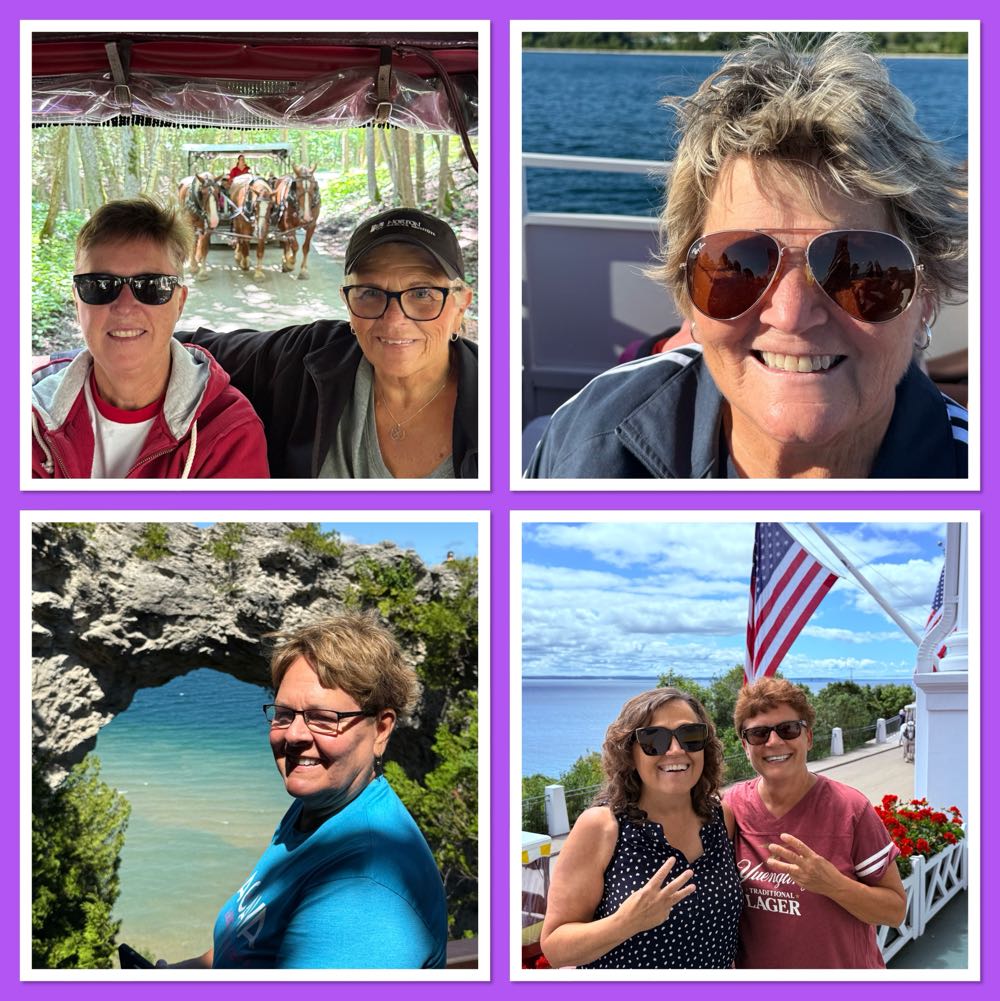 Mountain Town Pink Pony Blonde Ale - Mountain Town Brewing Company, Mount Pleasant alcohol collectible - Main Image 4