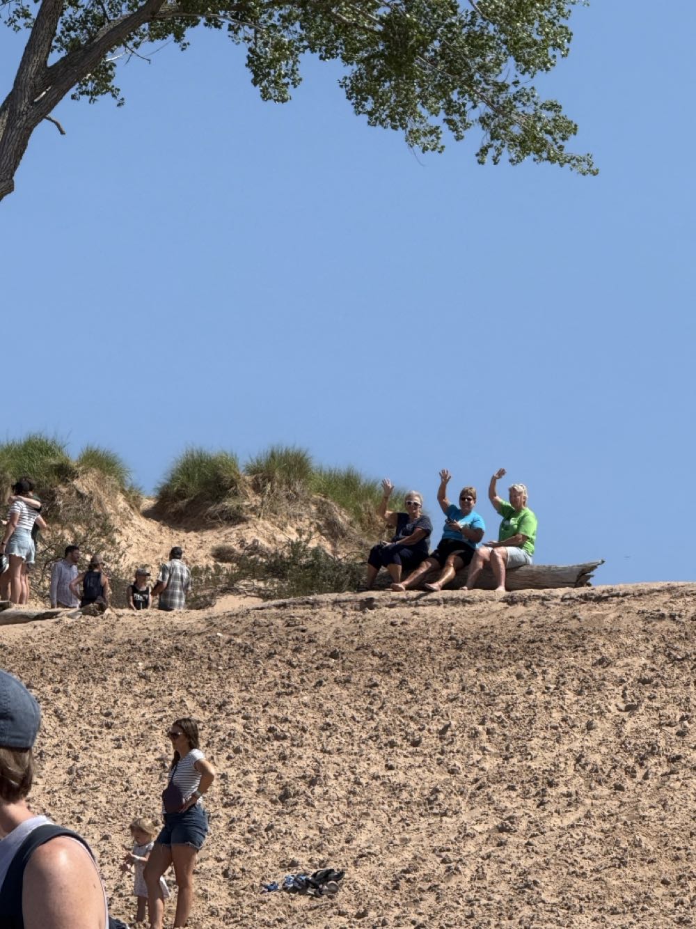 Brew Detroit Campin’ Beer Blonde Ale - Brew Detroit, Detroit alcohol collectible - Main Image 4