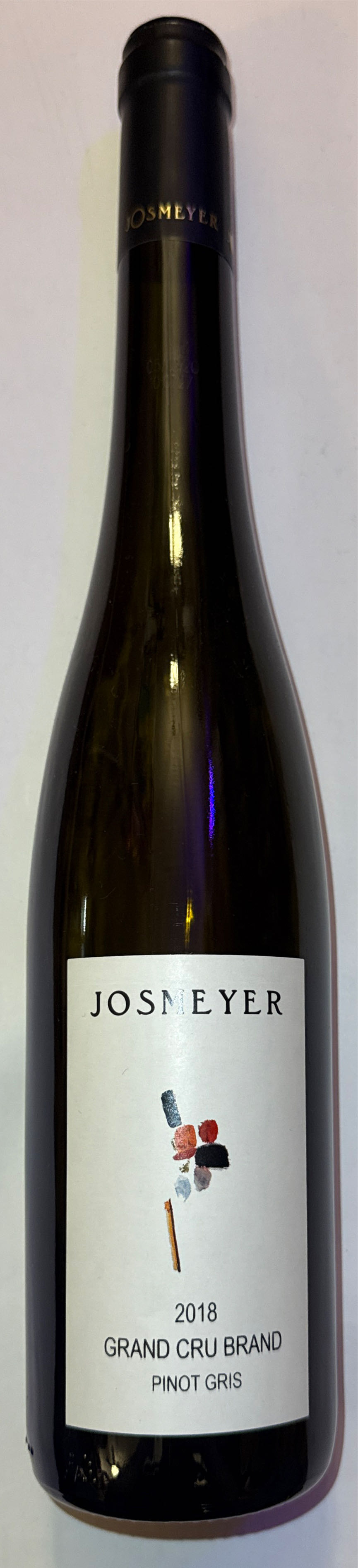 SCHOLASTIC CHILDRENS DICTIONARY(NEW AND UPDATED)(2007)