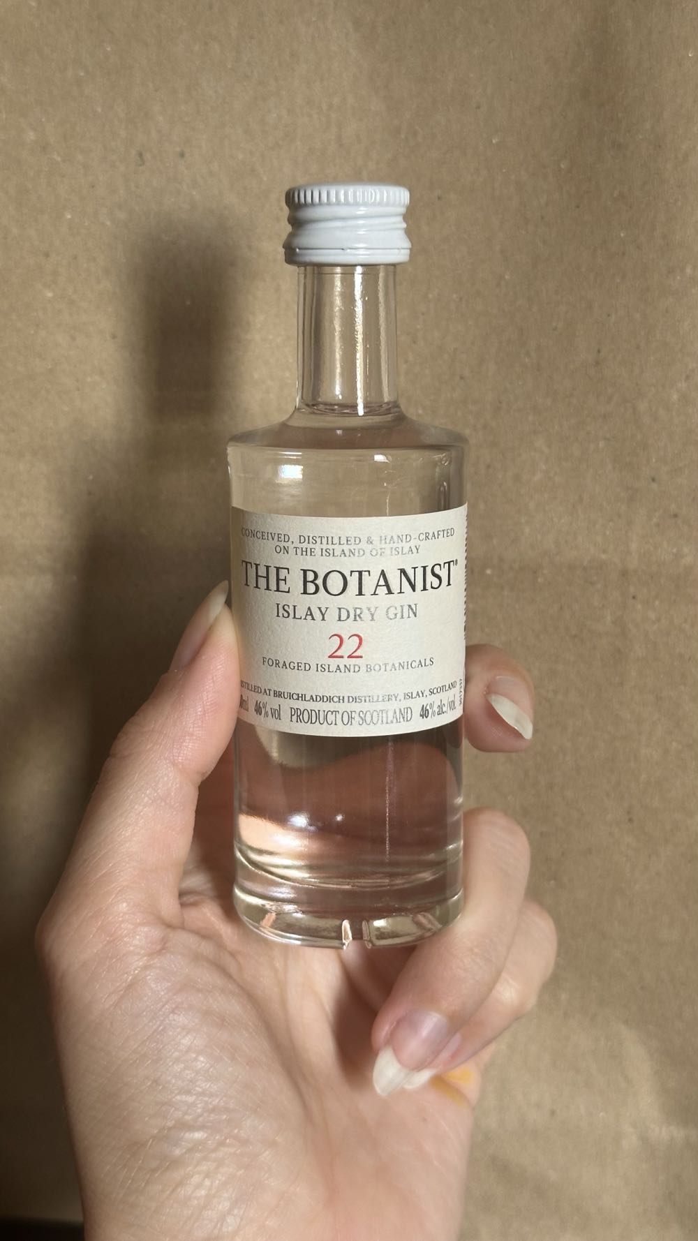 Absolut Vodka Tomorrowland 2025