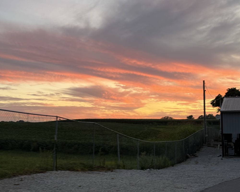 Pivot Winchester Pub Ale - Pivot Brewing Company, Lexington alcohol collectible - Main Image 3