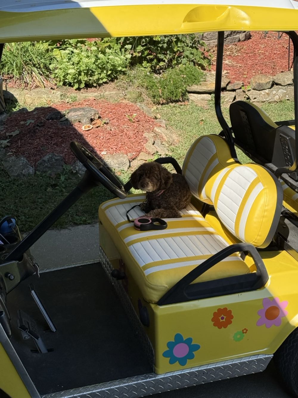 Pivot Winchester Pub Ale - Pivot Brewing Company, Lexington alcohol collectible - Main Image 4