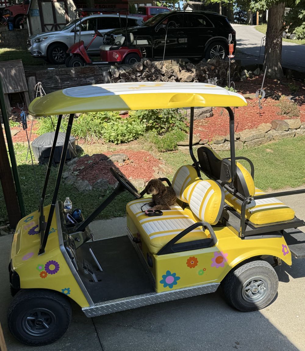 Duclaw PastryArchy Neapolitan Stout - Du Claw Brewing Company, Ewing alcohol collectible - Main Image 3