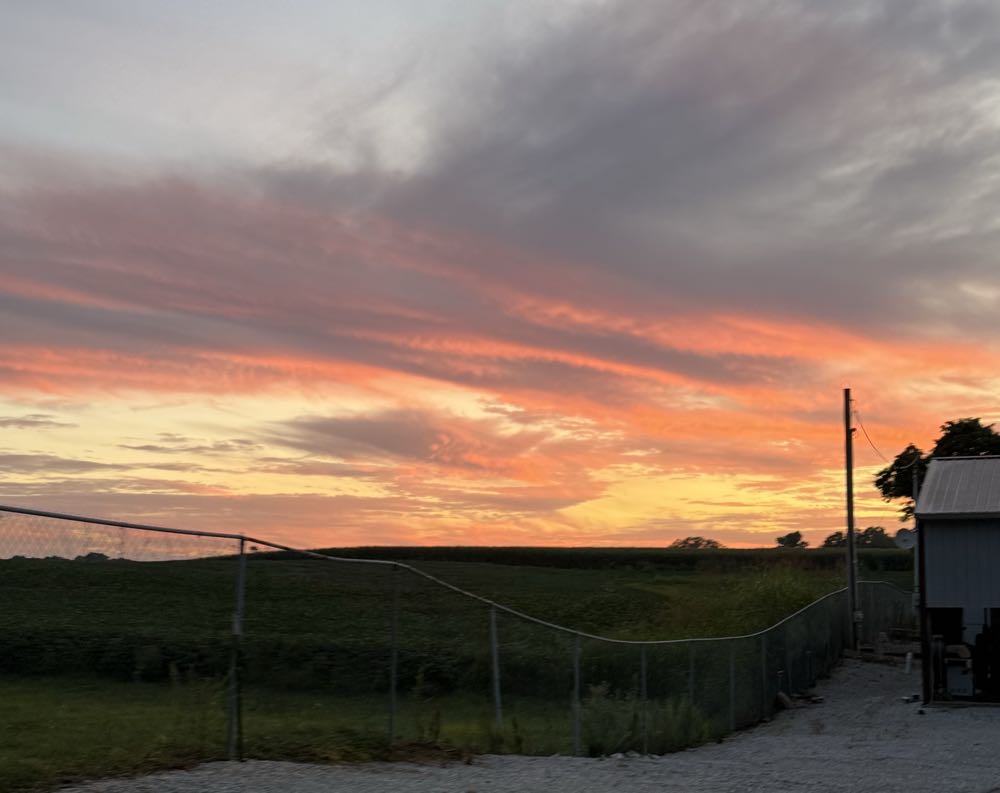 Duclaw PastryArchy Neapolitan Stout - Du Claw Brewing Company, Ewing alcohol collectible - Main Image 4