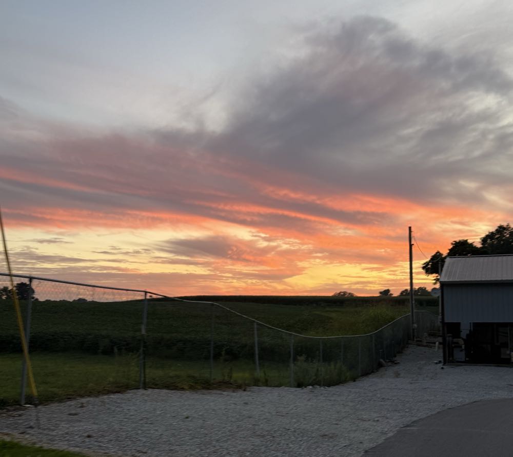 Mile Wide Pandemonium Blonde Ale - Mile Wide Beer Company, Louisville alcohol collectible - Main Image 3