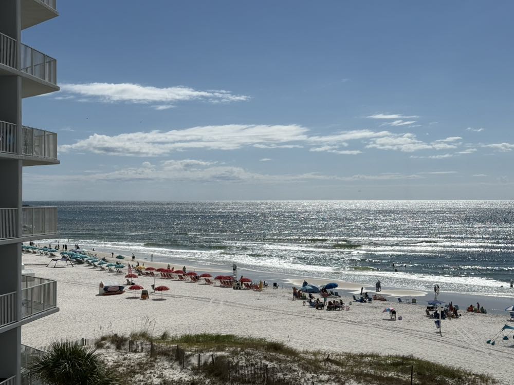 Fat Orange Cat Crispy Cat Lager - Fat Orange Cat Brewing, East Hampton alcohol collectible - Main Image 4