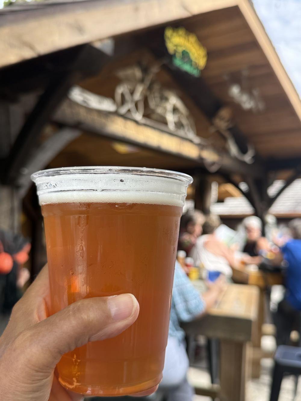 Elysian Space Dust IPA - Elysian Brewing Company, Seattle alcohol collectible - Main Image 2