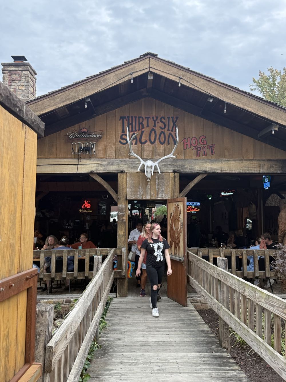 Elysian Space Dust IPA - Elysian Brewing Company, Seattle alcohol collectible - Main Image 3