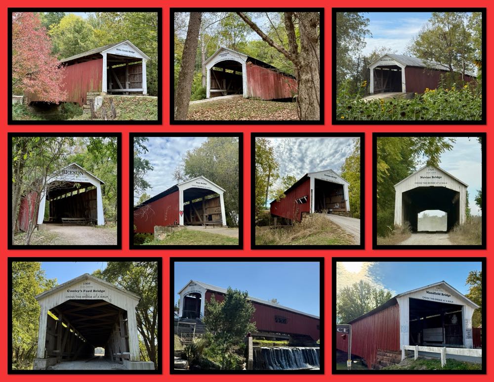 Elysian Space Dust IPA - Elysian Brewing Company, Seattle alcohol collectible - Main Image 4