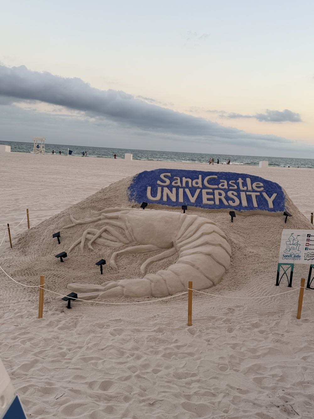 Big Beach Dixie’s Heart Irish Red Ale - Big Beach Brewing, Gulf Shores alcohol collectible - Main Image 3
