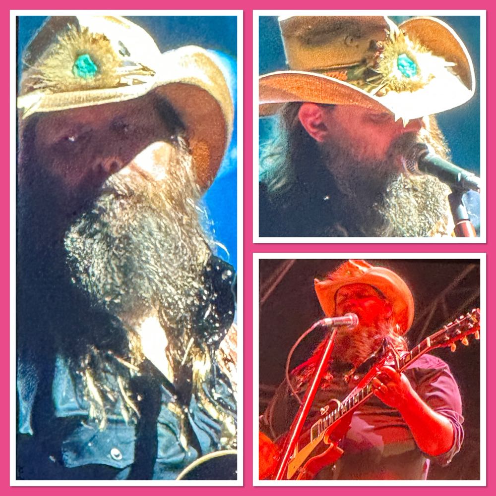 Flyway Honeybird Blonde Ale - Flyway Brewing Company, North Little Rock alcohol collectible - Main Image 3