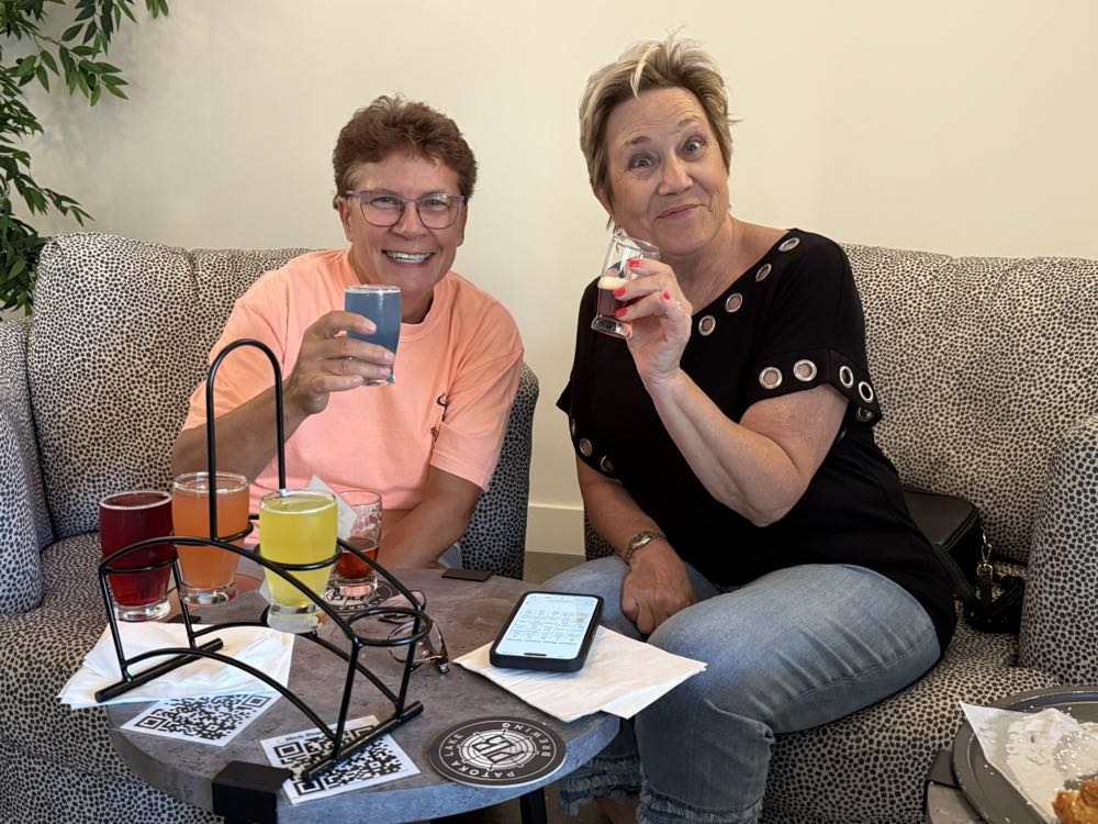 Patoka Lake Blue Raspberry Seltzer - Patoka Lake Brewing, Birdseye alcohol collectible - Main Image 2