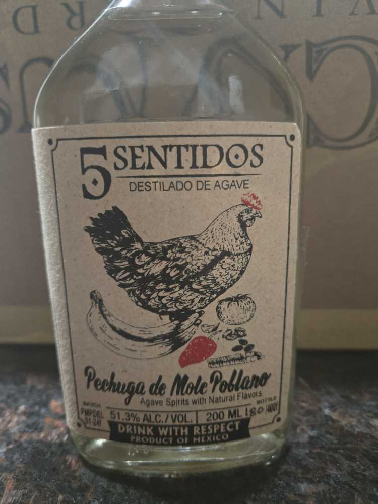 Fat Orange Cat Crispy Cat Lager