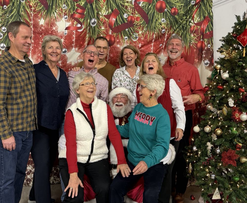 Stone Brewing /// Fear. Movie. Lions Hazy Double IPA - Stone Brewing, Richmond alcohol collectible - Main Image 4