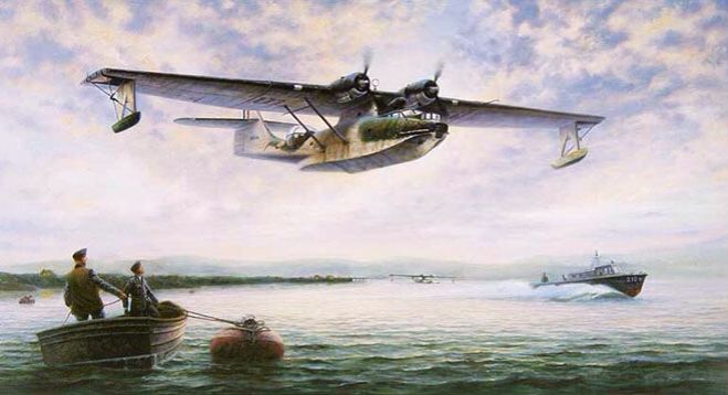 Gallo ( From The Series Gallo Con Flor)