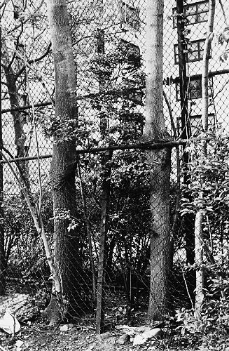 Vuurtoren Terschelling