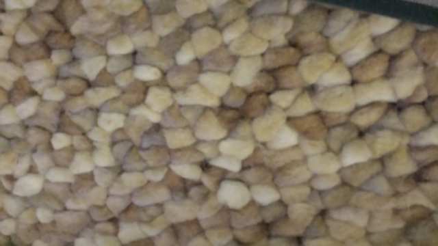 Alchemy Of A Philosopher 6