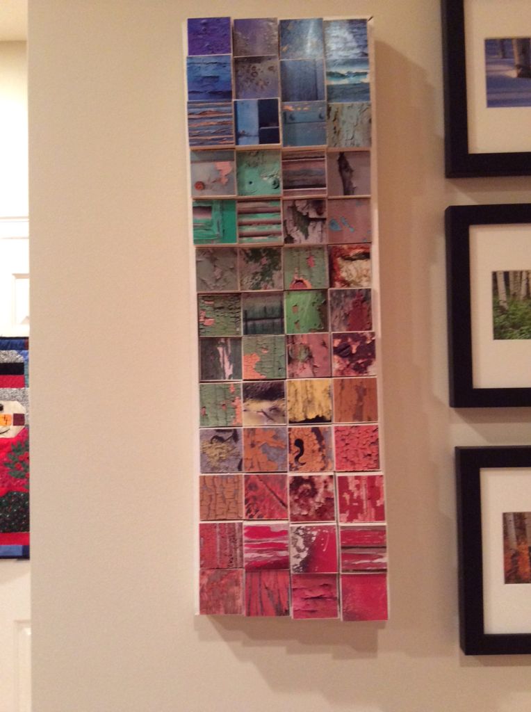 Dog Day Acres - Friends Welcomed