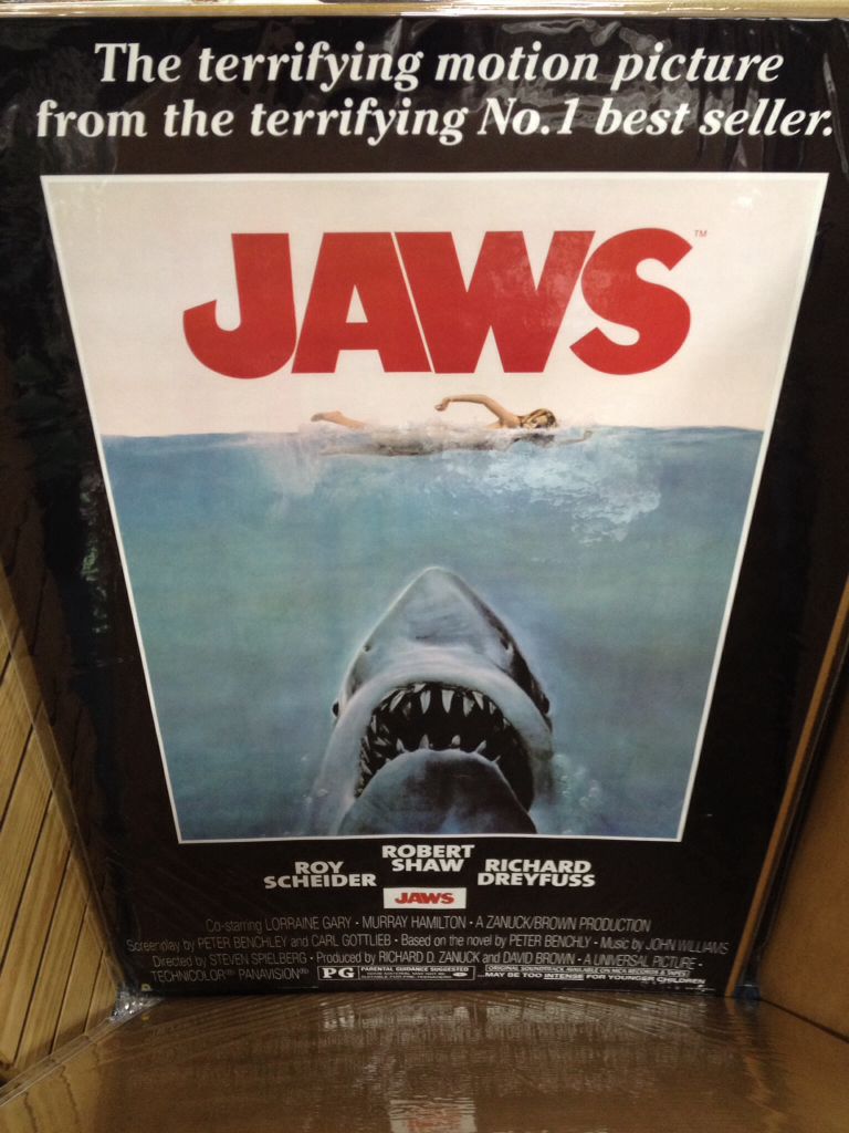 Eendenpaar Met 8 Jongen