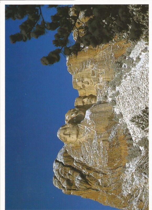 Portrait d`une jeune femme se coiffant ses cheveux 