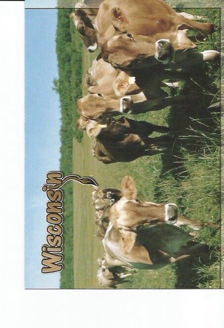 Typhoons Over The Rhine