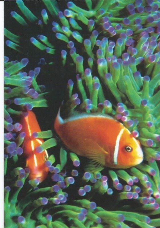 I Stand With Planned Parenthood