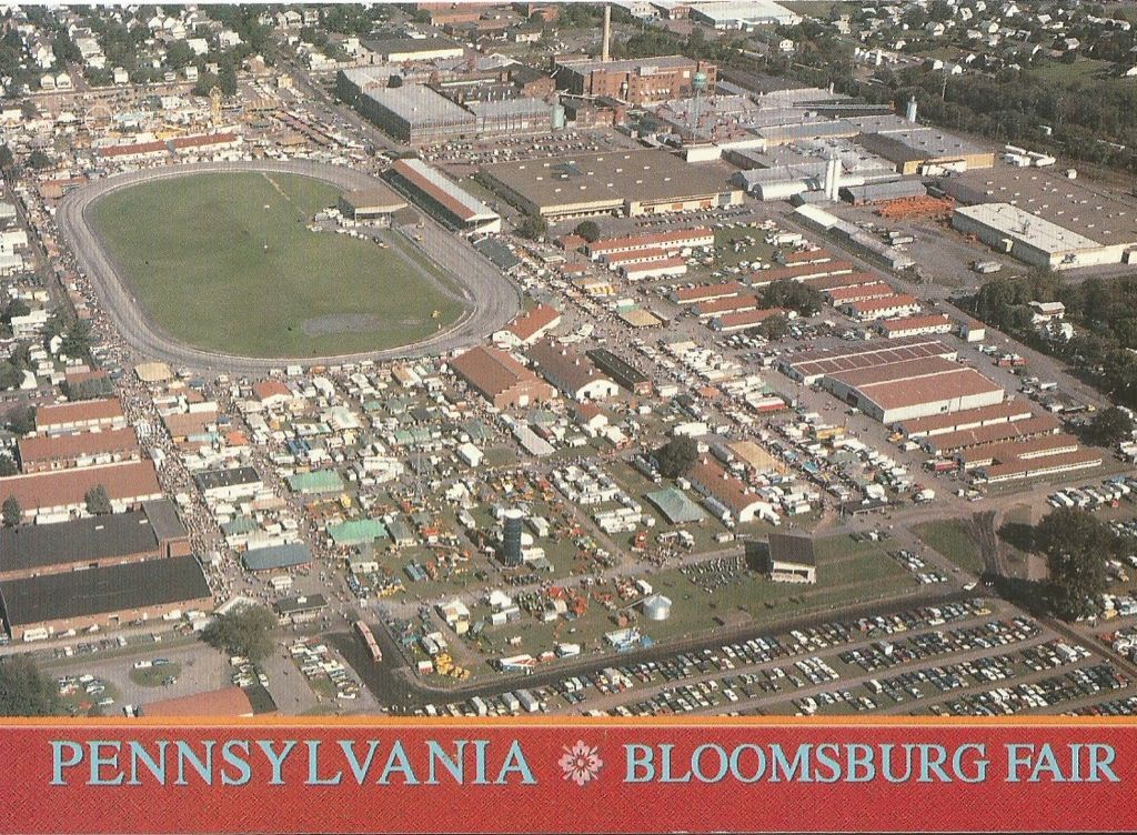 Polder in Ankeveen 2