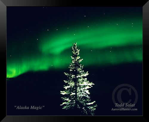 Alaska Magic - Todd Salat art collectible - Main Image 2