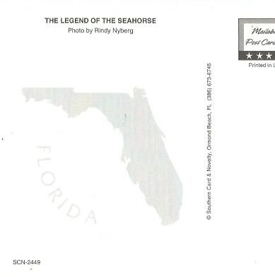 Florida - General art collectible - Main Image 2