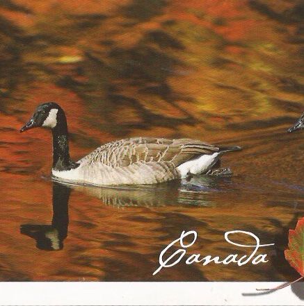 Canada - General art collectible - Main Image 1