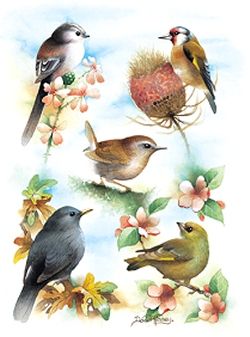 Life On A Yellow Planet