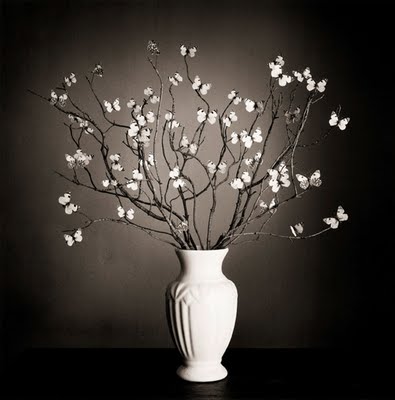 S&W - American Born & Bred