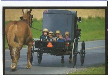 Maia - Leopard Safari