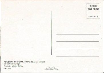 Pennsylvania - Animals art collectible - Main Image 2