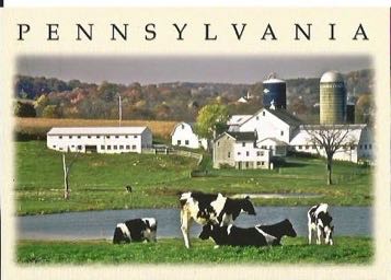 Erste Allgemeine Verunsicherung