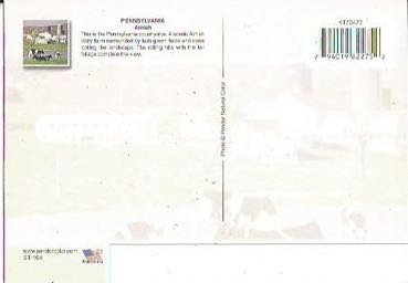 Pennsylvania - Amish art collectible - Main Image 2