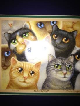 Feline Fraternity - Randal Spangler art collectible - Main Image 1