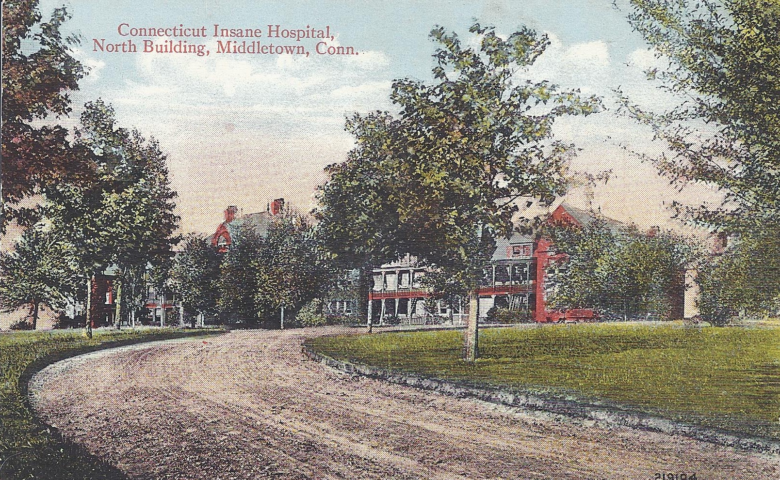 Passion Flower, Tacsonia Sanguinea