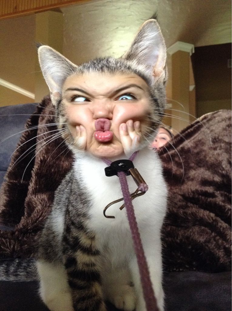 Abby Logan - Abby Logan art collectible - Main Image 2