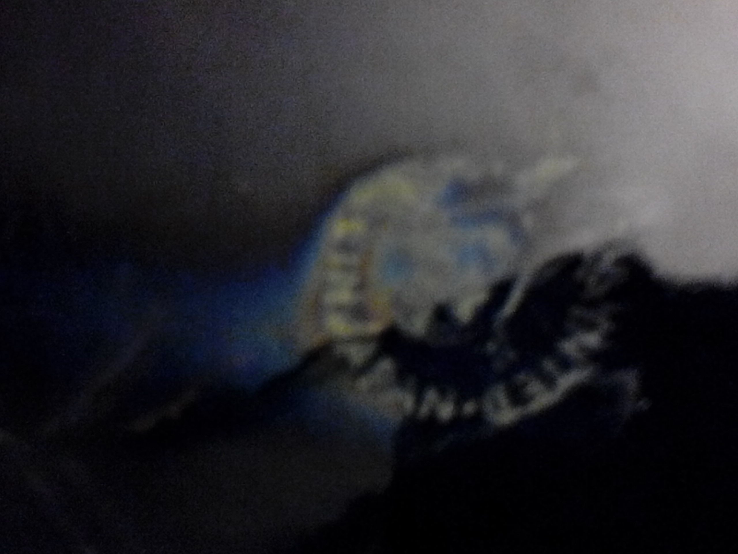 Sushi Tray - not known art collectible - Main Image 2