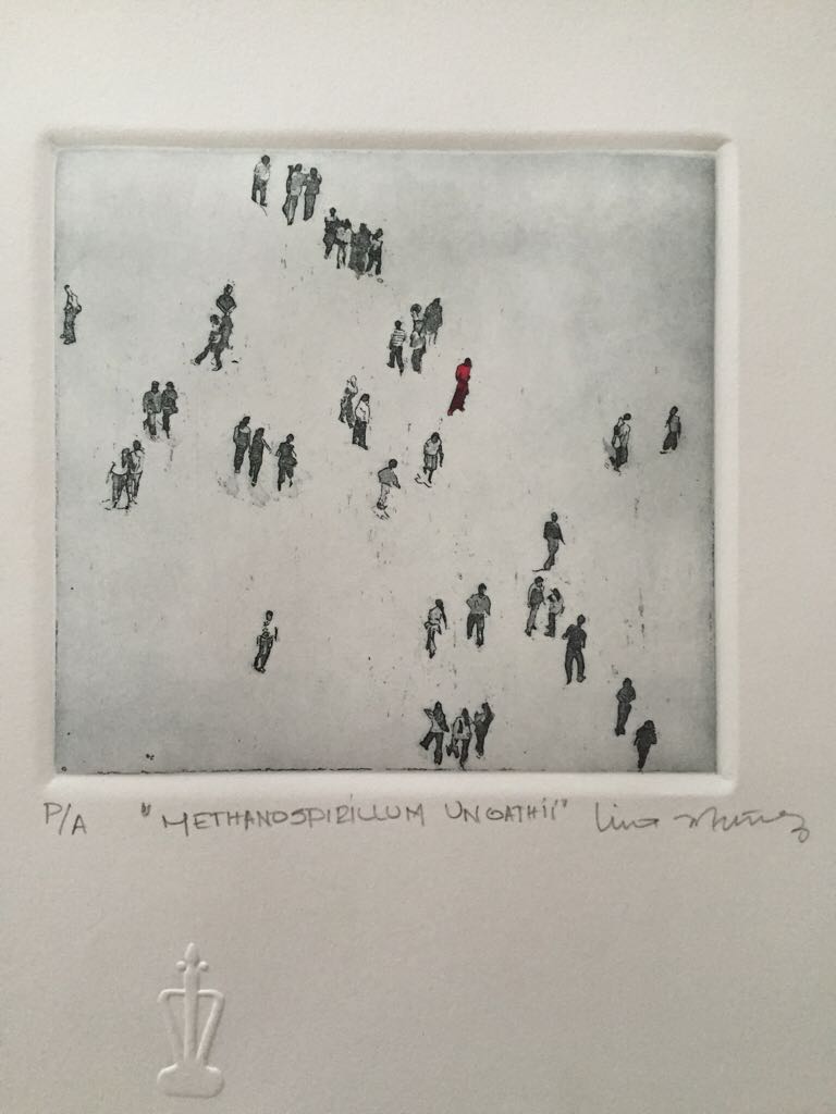 Sending You A White Christmas