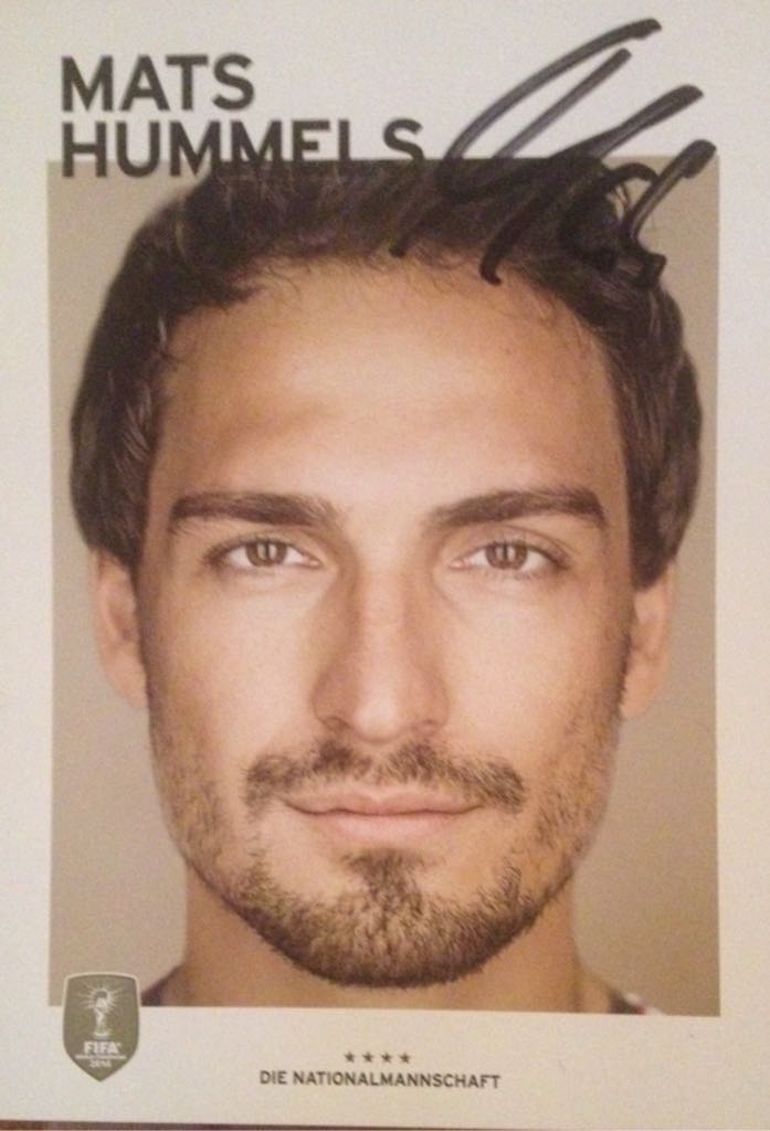 Australian Lipizzaner plate