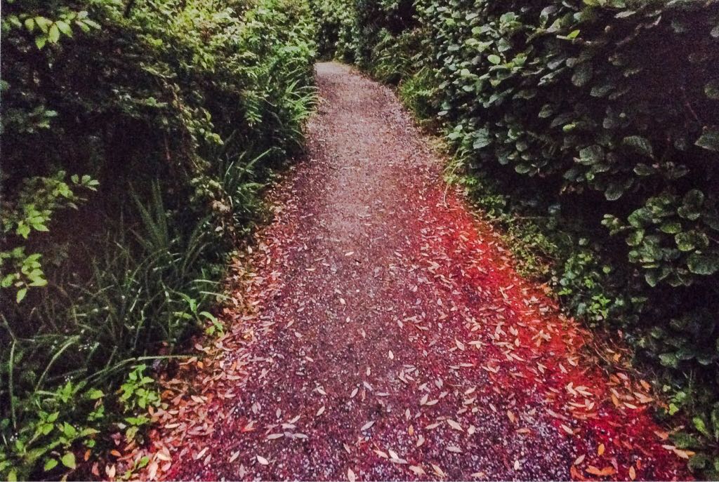 Apple Banner (iBook) iMac to go L04027B