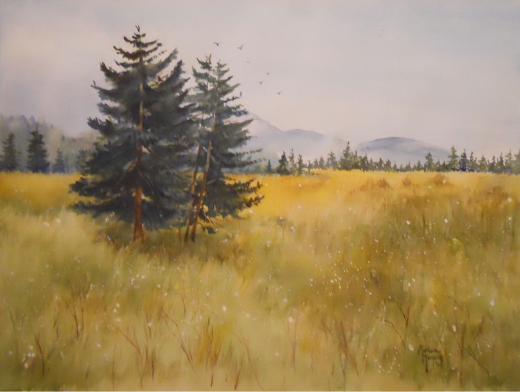 Cranberry Glades, Monongahela National Forest - Marian Murphy art collectible - Main Image 1