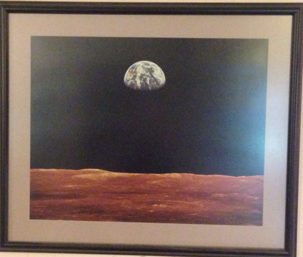 Methanospirillum Ungathii