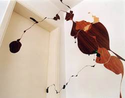 Aloha (Oahu’s Fabled North Shore)