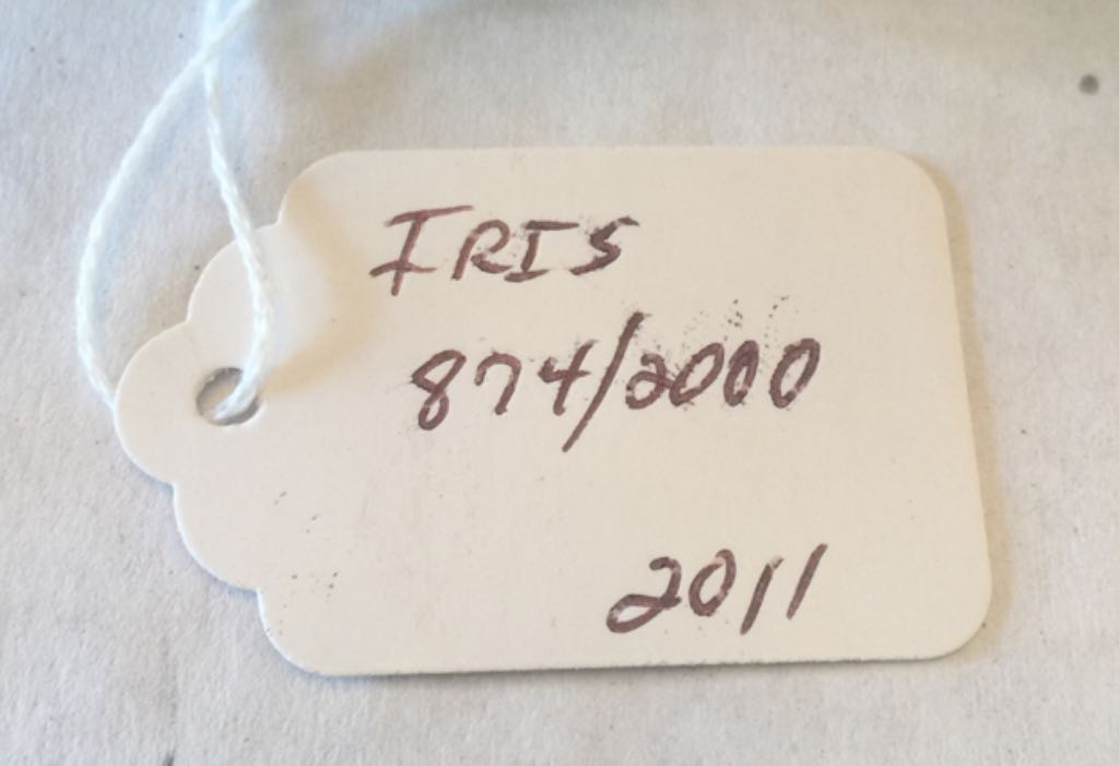 Iris - Tim Cotterill art collectible - Main Image 2