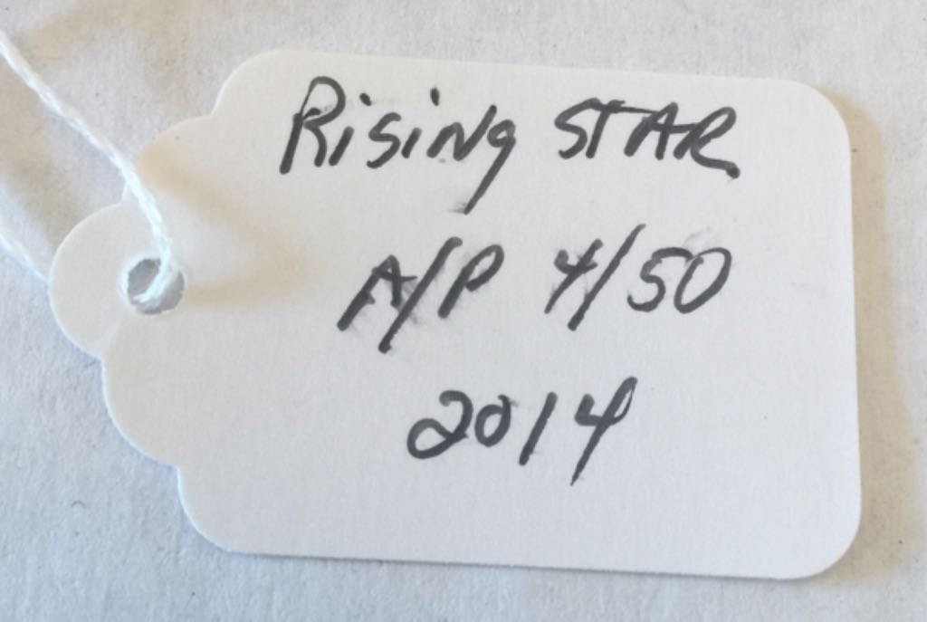 Rising Star - Tim Cotterill art collectible - Main Image 2