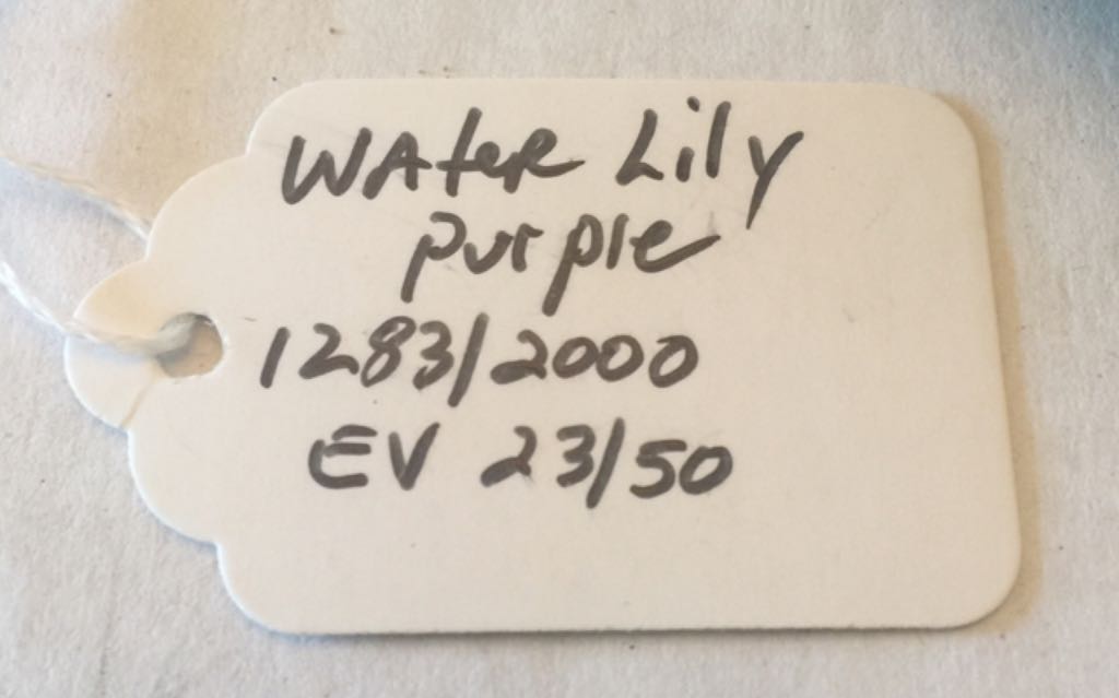 Water Lily - Tim Cotterill art collectible - Main Image 2