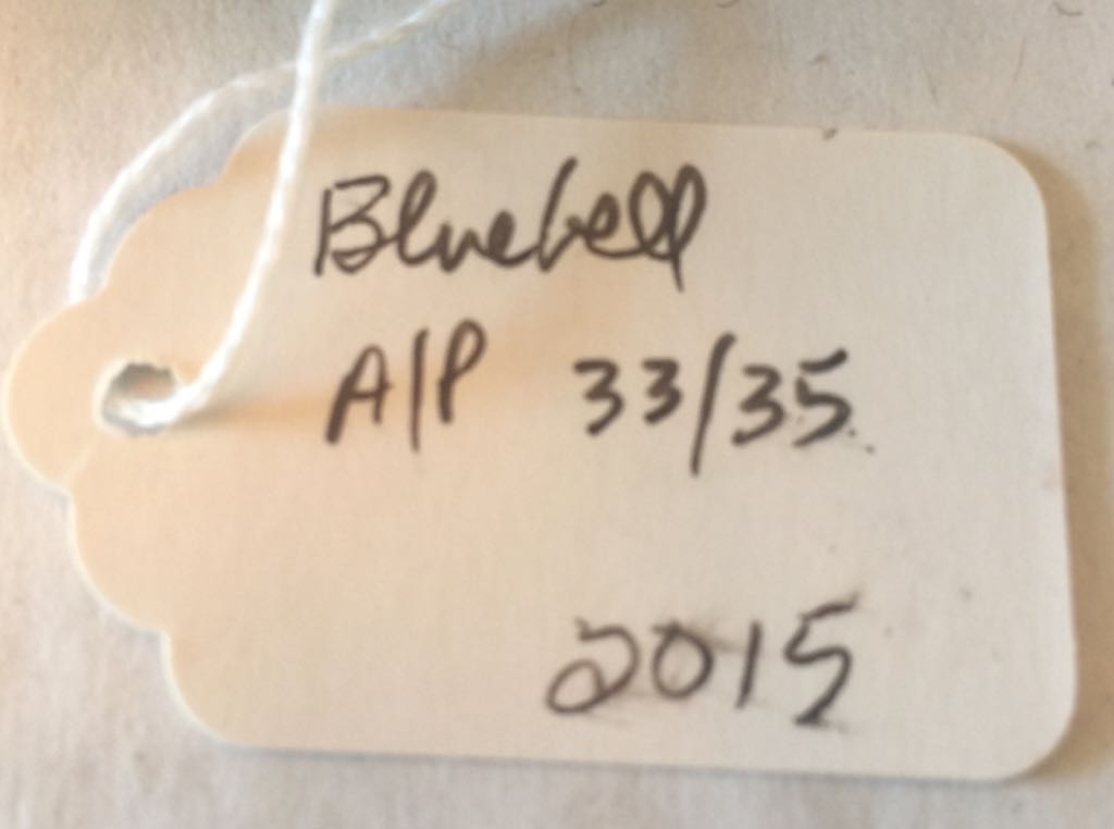 Bluebell - Tim Cotterill art collectible - Main Image 2